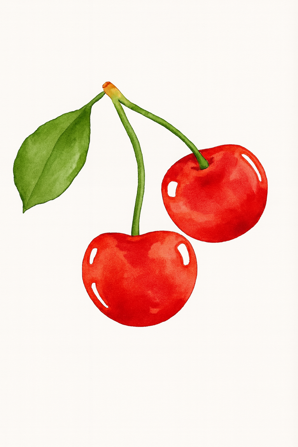 קיט מיני – מארז 6 ציורים פירות צבעוניים בסגנון ריאליסטי