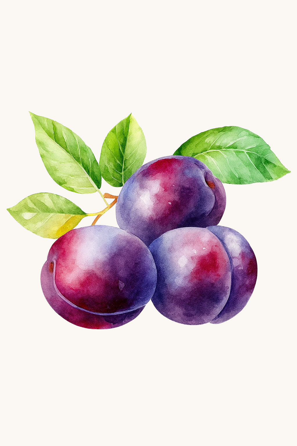 קיט מיני – מארז 6 ציורים פירות צבעוניים בסגנון ריאליסטי