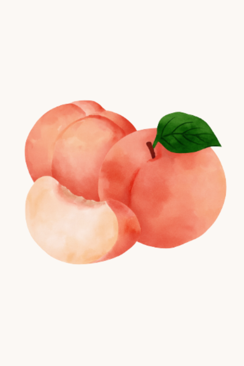 קיט מיני – מארז 6 ציורים פירות צבעוניים בסגנון ריאליסטי