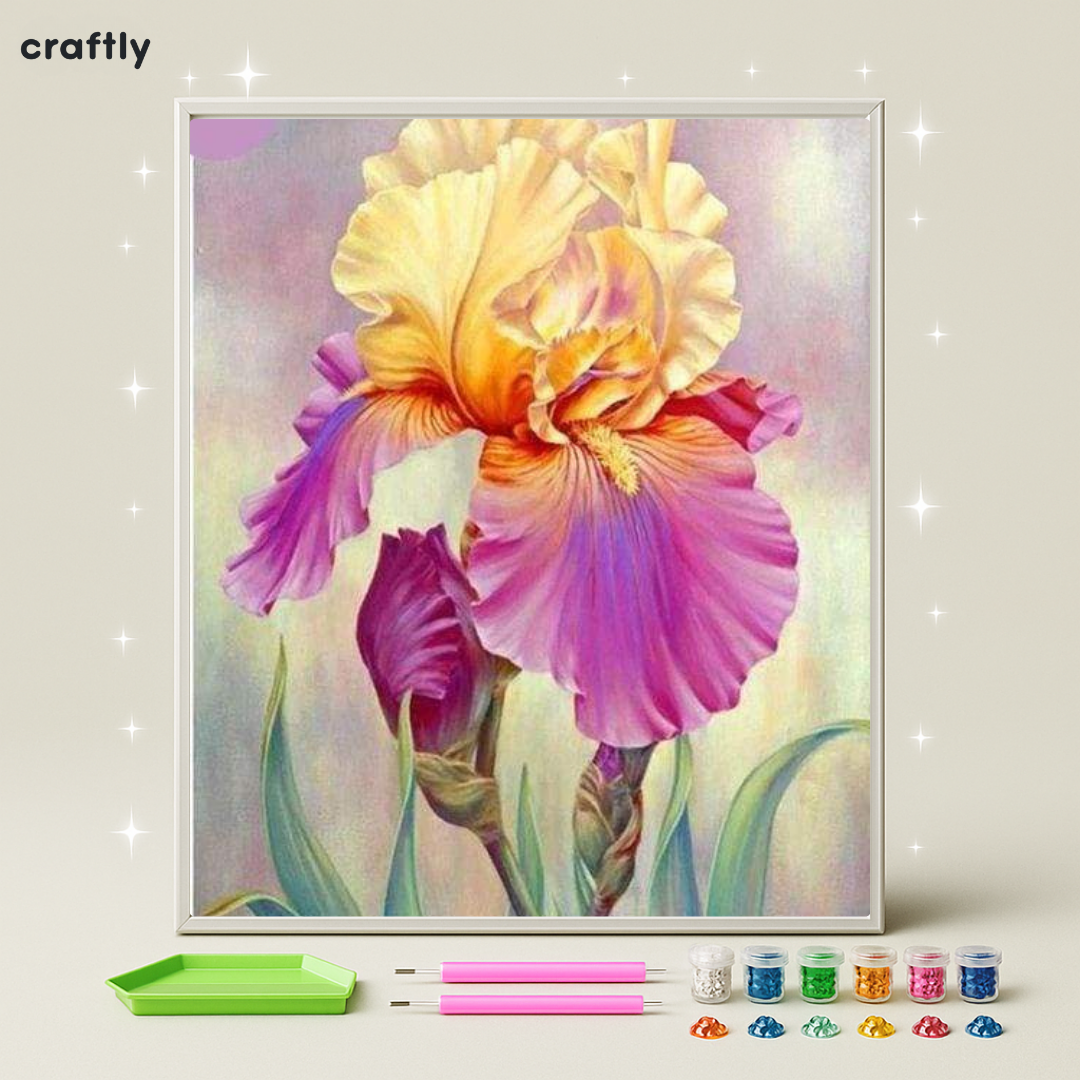 ציור יהלומים - איריס צבעוני בולט
