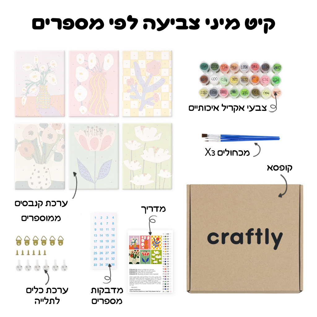 קיט מיני – מארז 6 ציורי פרחים מודרניים