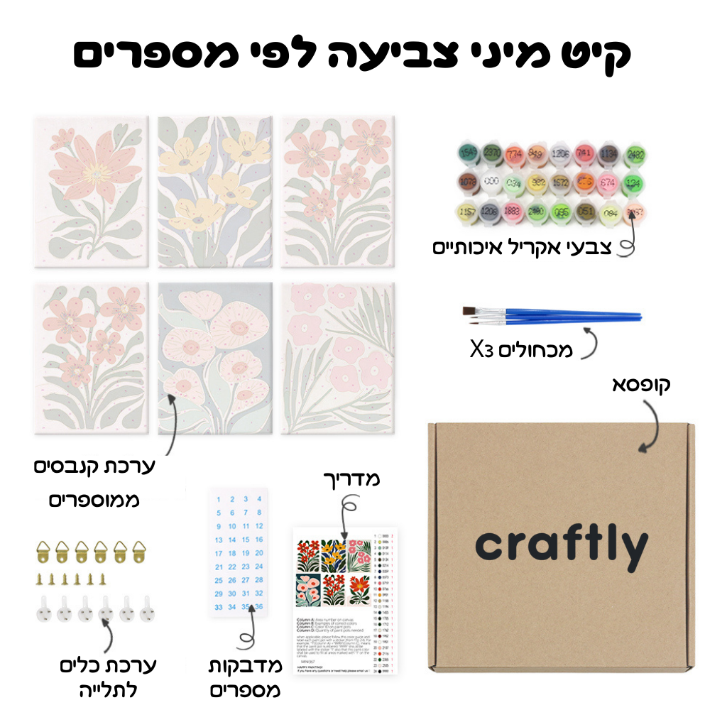 קיט מיני – מארז 6 ציורי פרחים צבעוניים