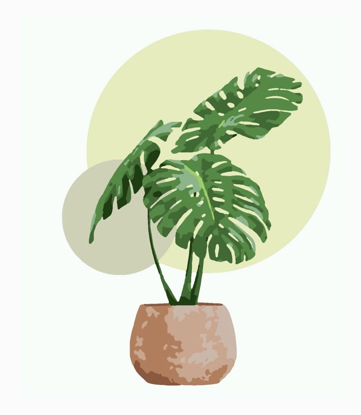 צביעה לפי מספרים - ציור עציץ בחרס