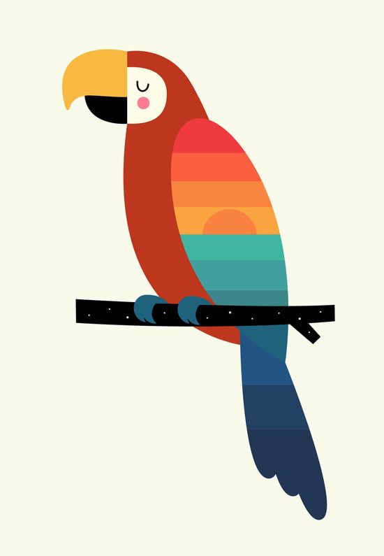 צביעה לפי מספרים - תוכי קשת