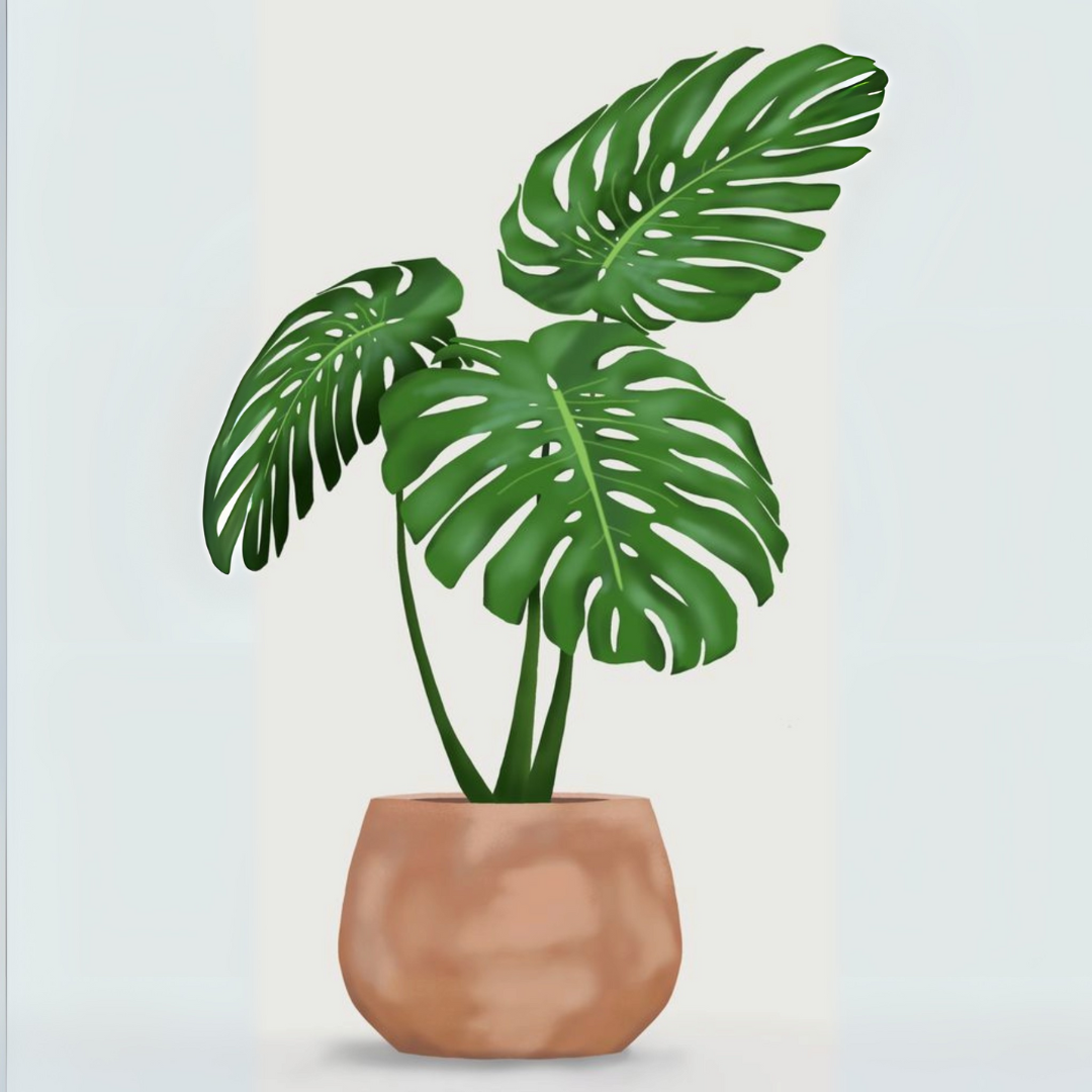 צביעה לפי מספרים - ציור עציץ מרשים