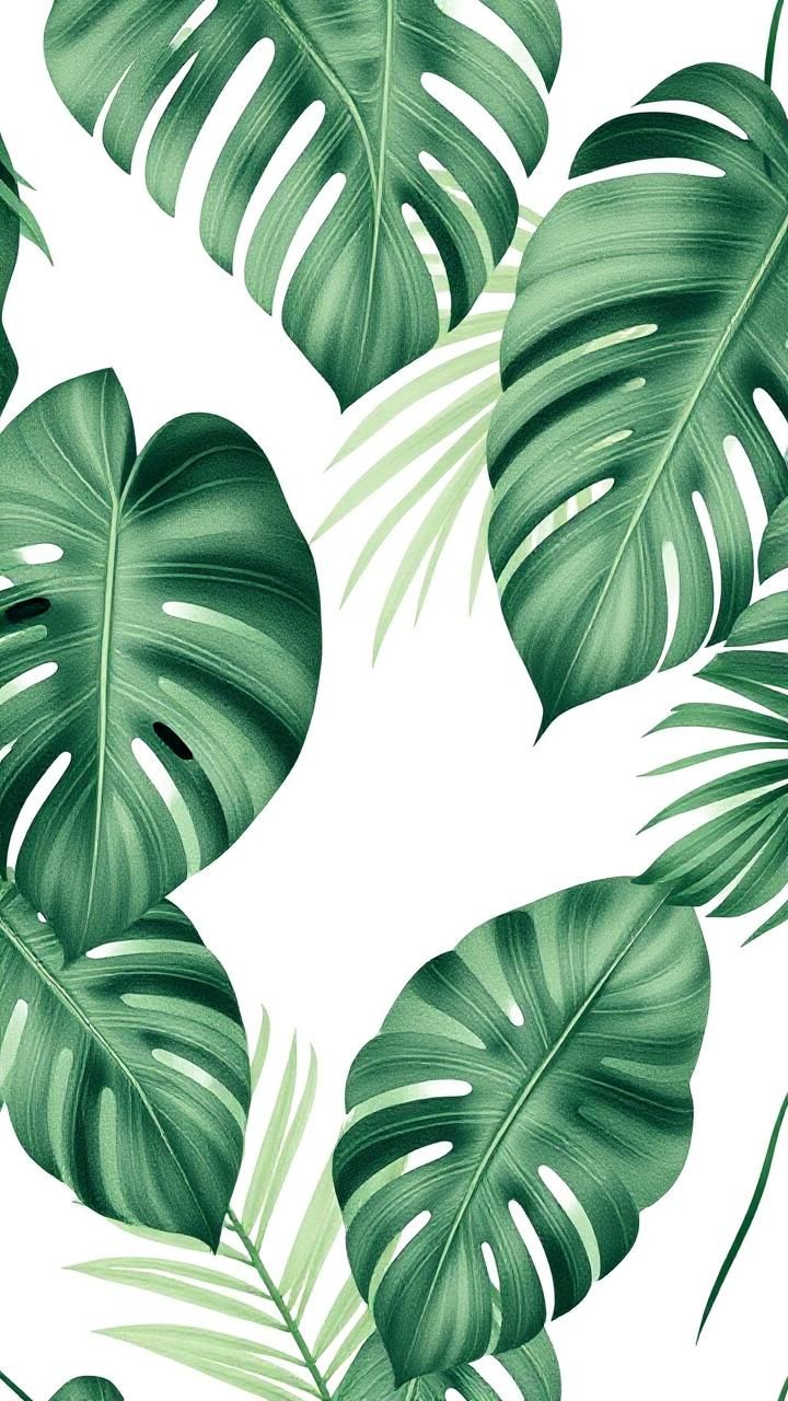 צביעה לפי מספרים - ציור עלים טרופיים