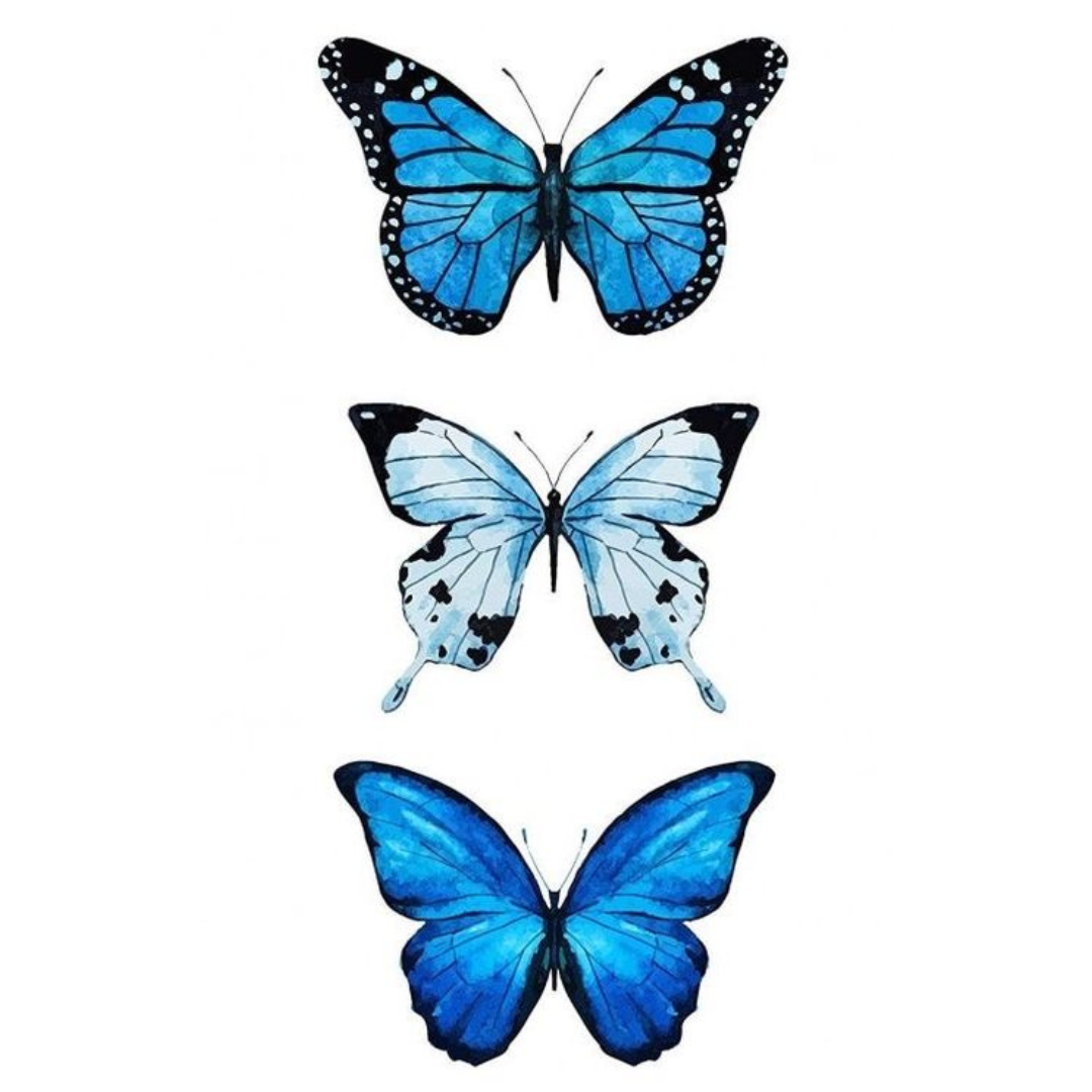 צביעה לפי מספרים - ציור פרפרים כחולים