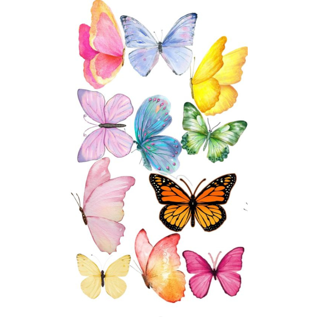 צביעה לפי מספרים - ציור פרפרים צבעוניים