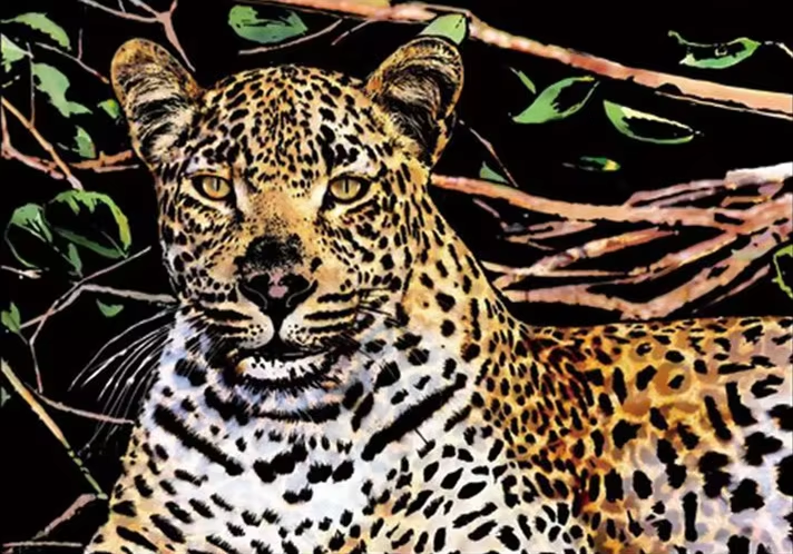 דפי גירוד קסם – נמר ביער