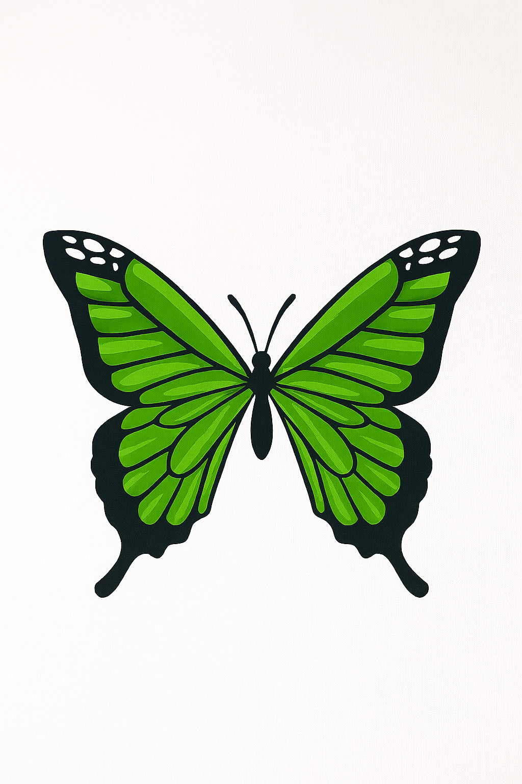 קיט מיני – מארז 6 ציורים פרפרים צבעוניים