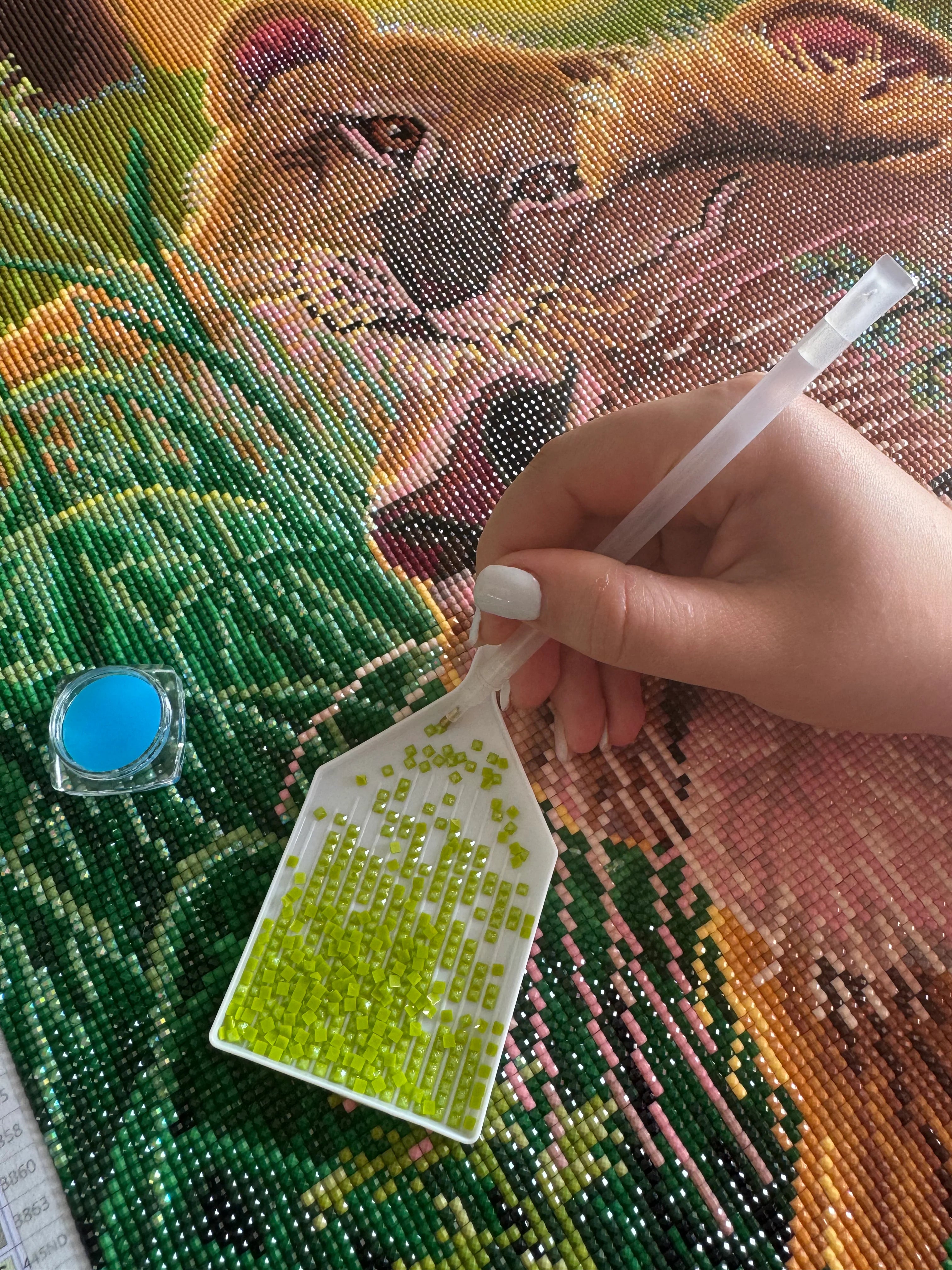 ציור יהלומים - נמר צבעוני