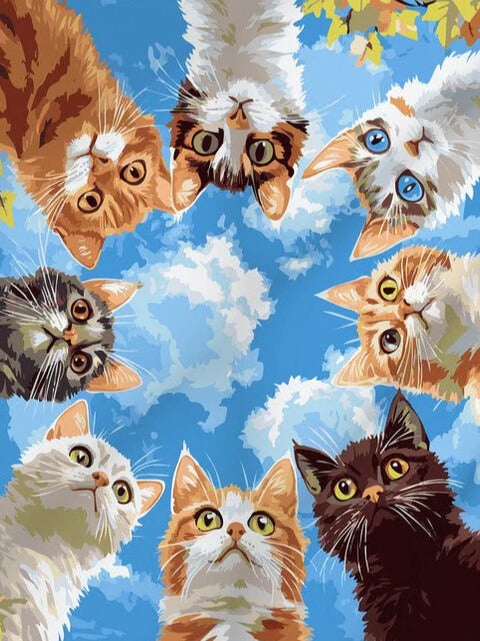צביעה לפי מספרים – חתולים מציצים לשמיים
