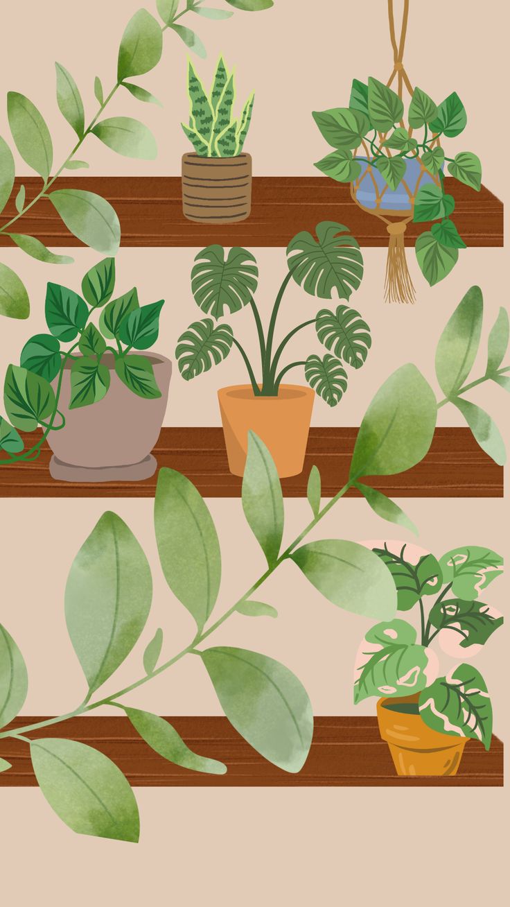 צביעה לפי מספרים - ציור צמחי בית על מדפי עץ