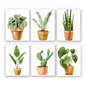 קיטים - מארז 6 ציורים