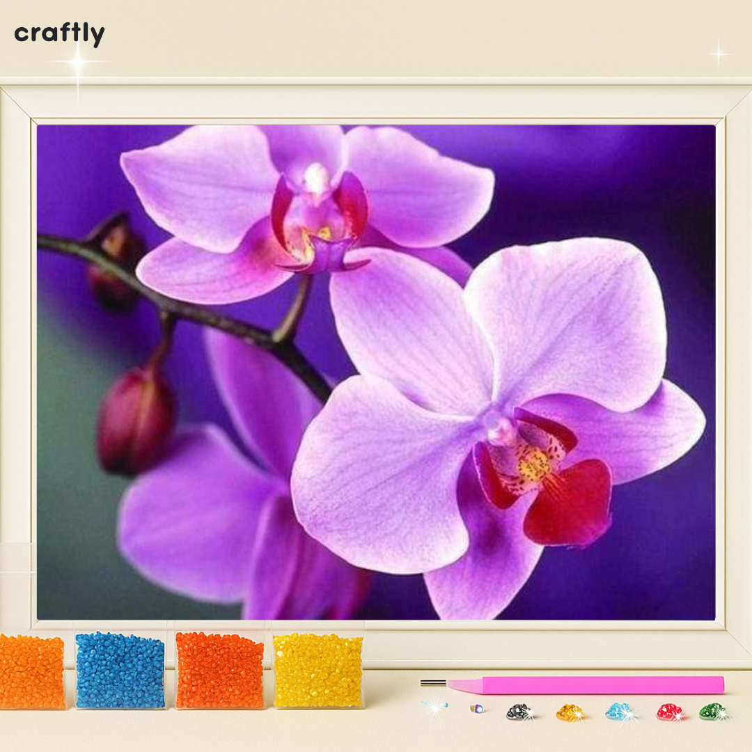 ציור יהלומים - ציור סחלב סגול